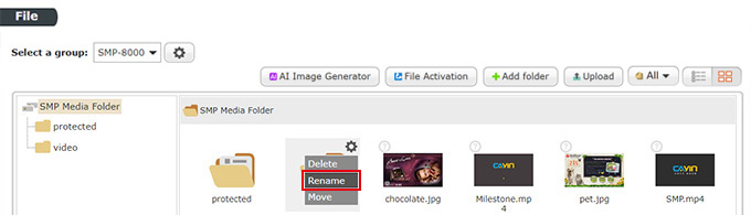 Rename Files/Folders Rename Files/Folders